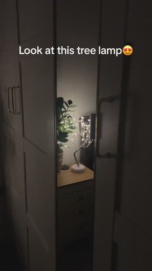 1.mp4